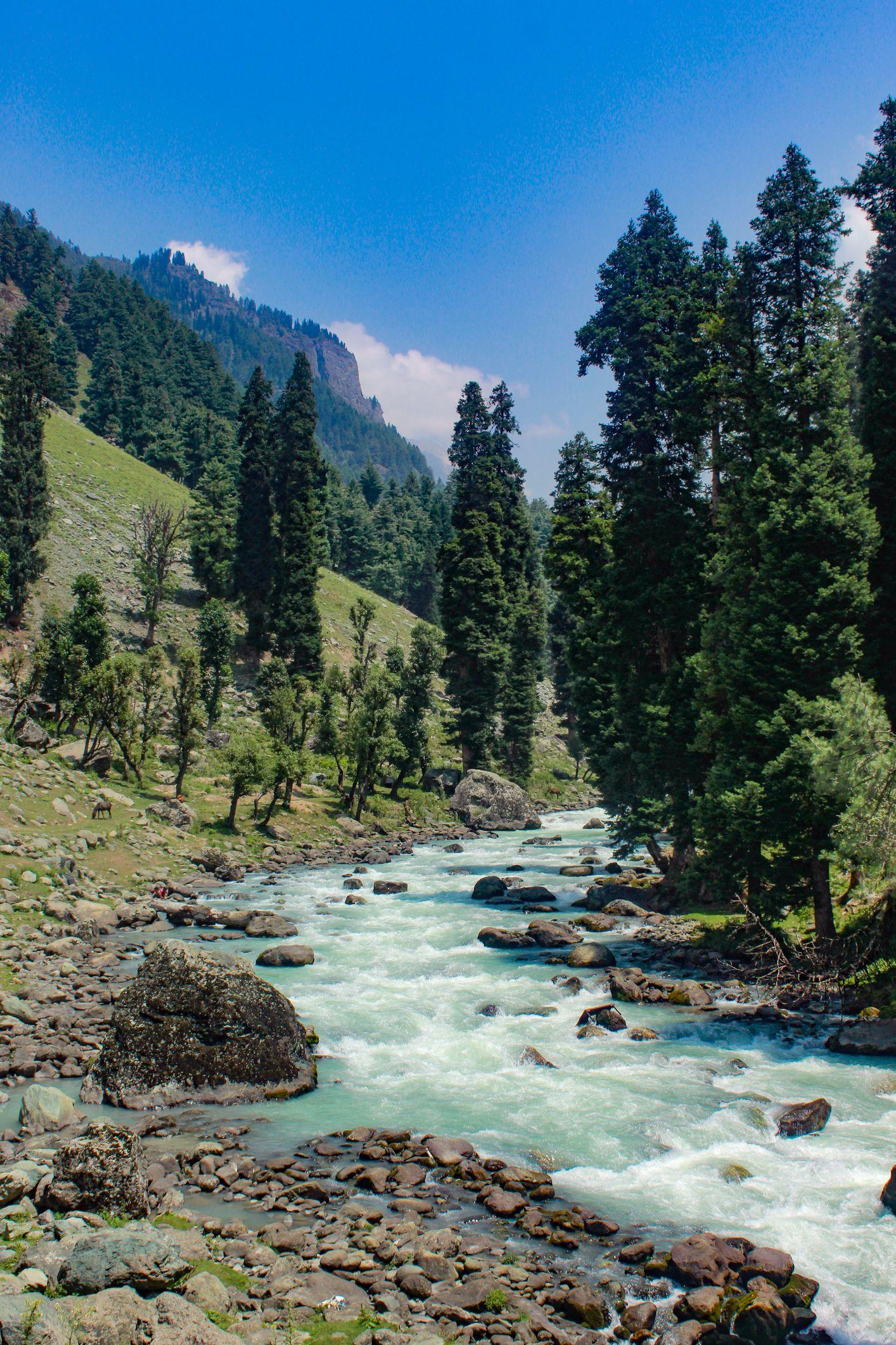 Kashmir Paradise Tour – 5 Days / 4 Nights