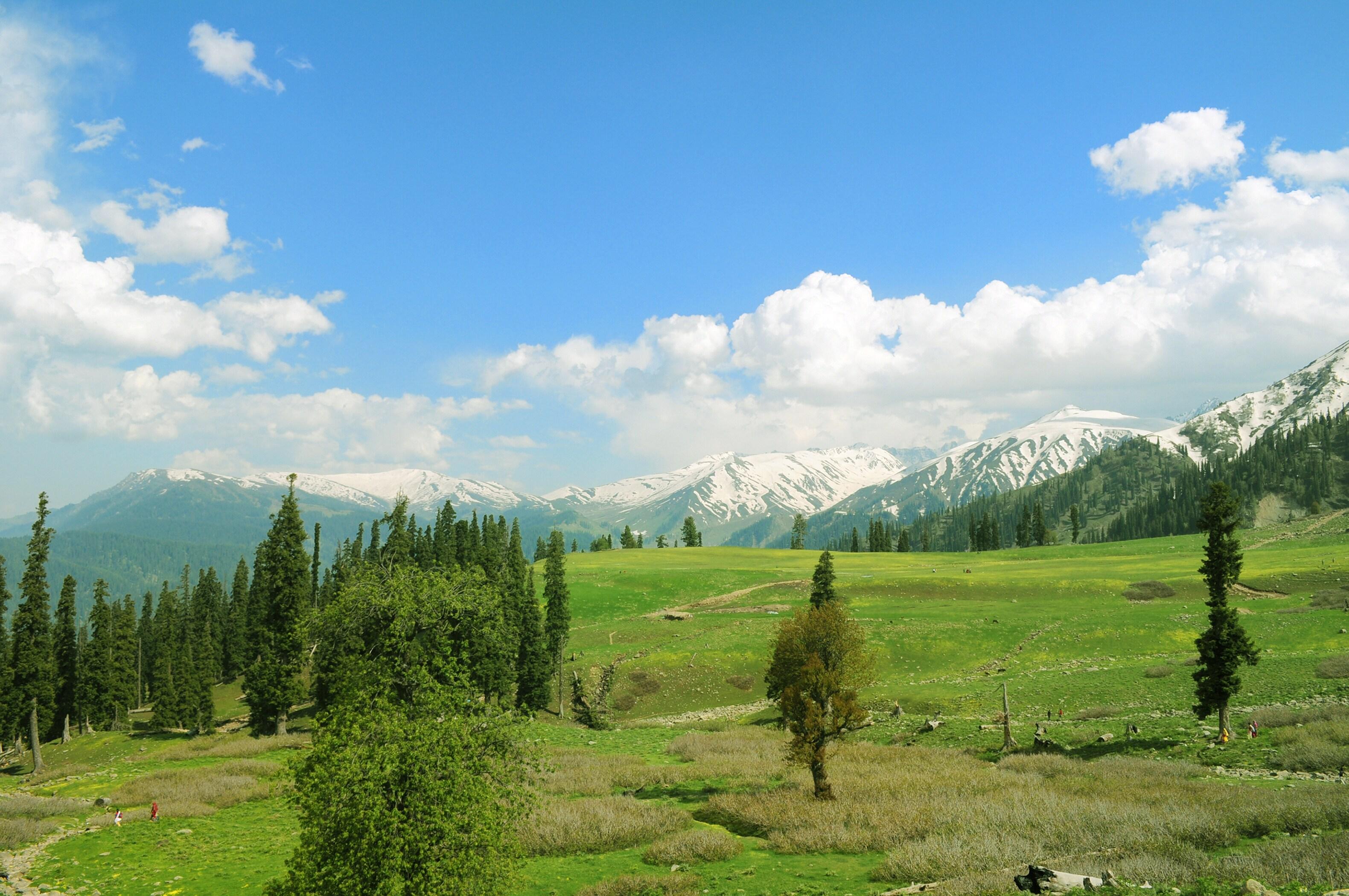 Kashmir Paradise Tour – 5 Days / 4 Nights